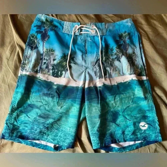 Hollister Men’s Size 28 Swim Trunks - Picture 1 of 8